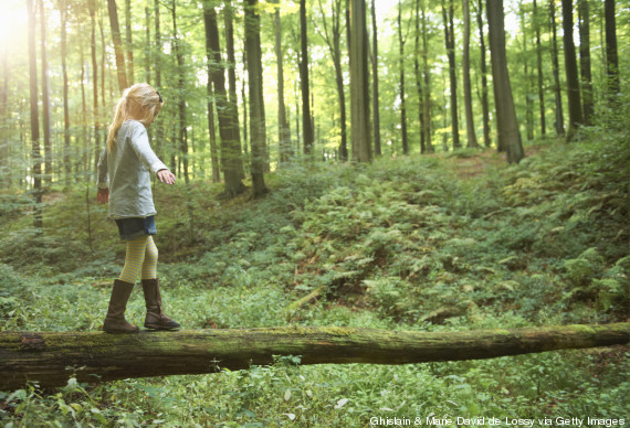 walk forest