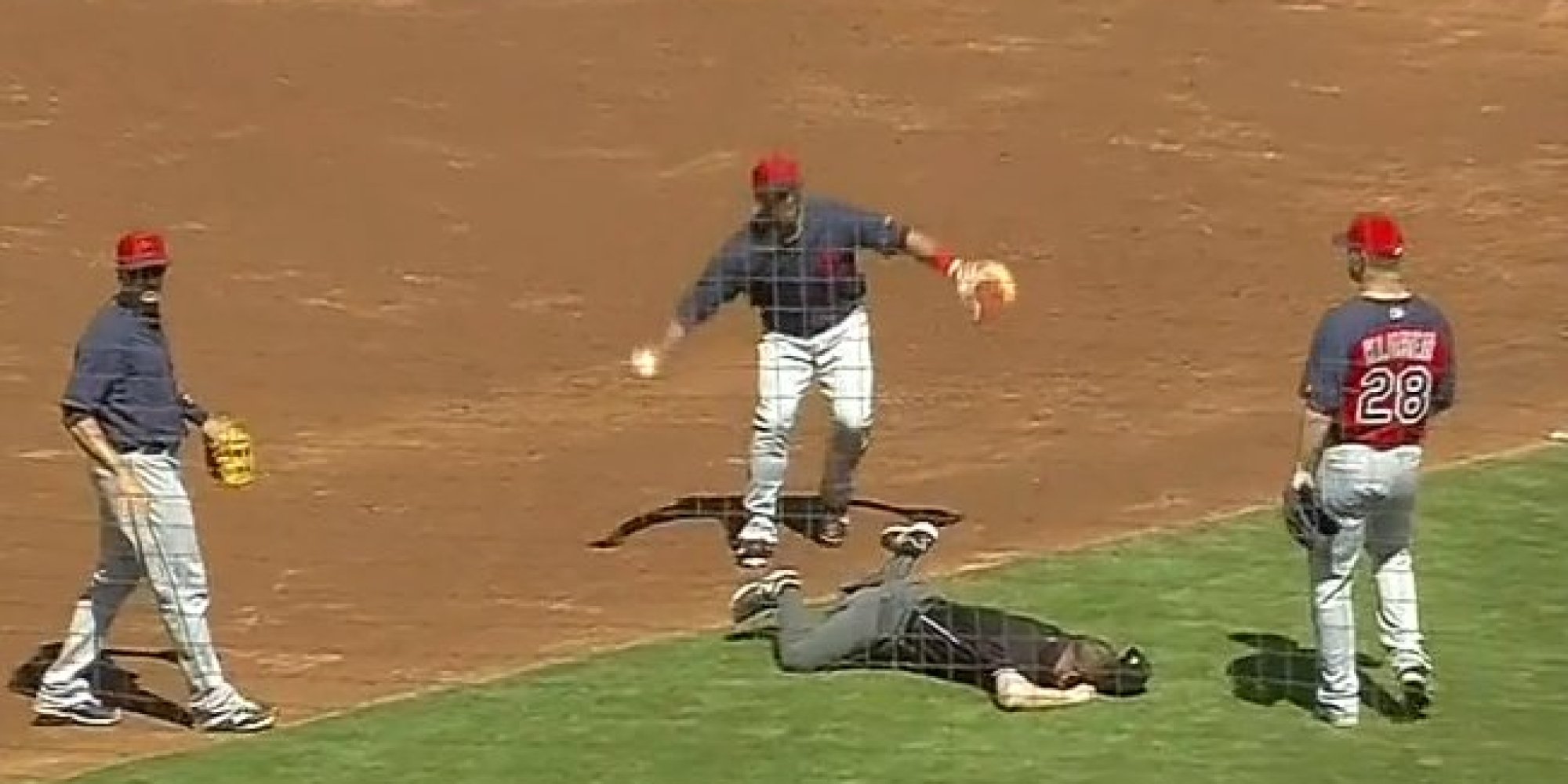 Umpire Had To Be Carted Off The Field After Getting Nailed In The Groin