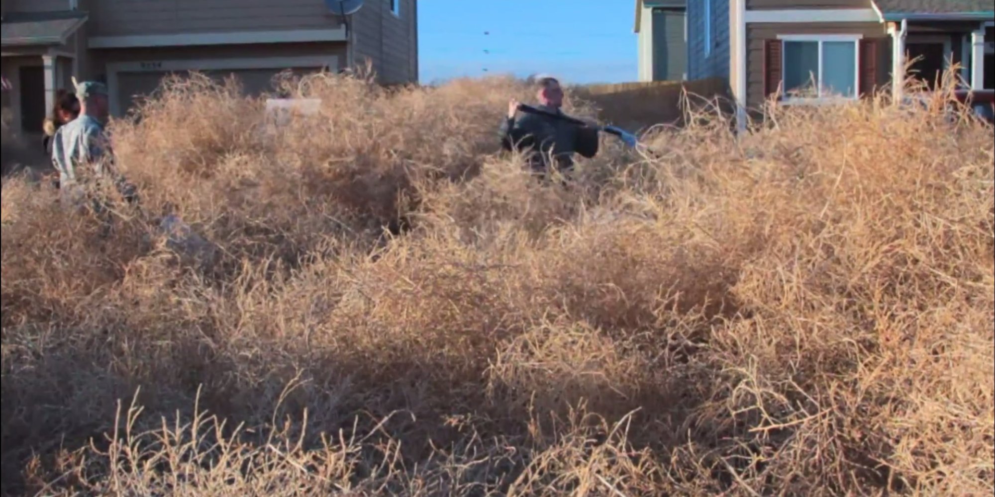 Colorado Tumbleweed Problem Is No Joke 'We Can't Get Out Of Our Homes'