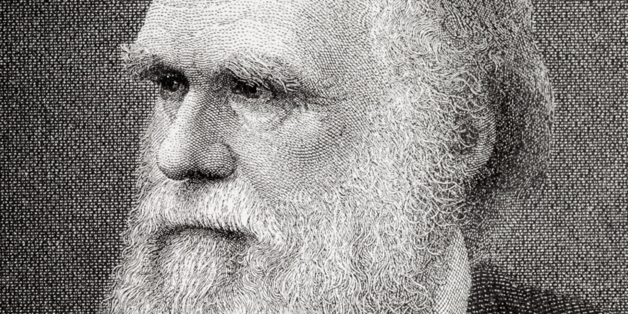 All Branches Lead to Darwin | HuffPost UK