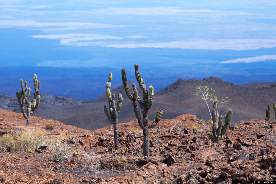 sierra negra