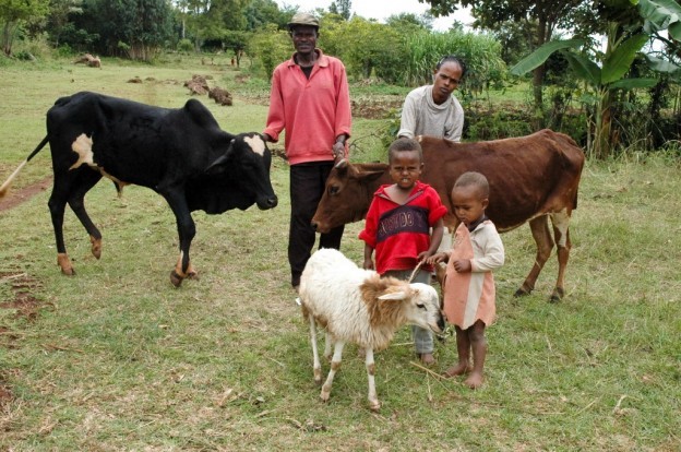 world vision