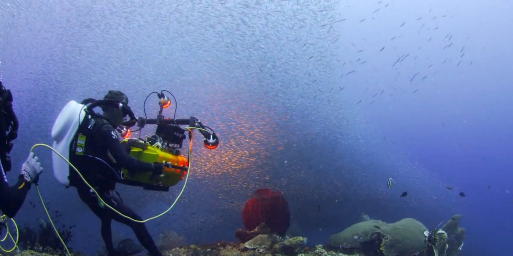 Film Crew Captures 'Underwater Fireworks' In South Pacific (VIDEO