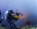 Film Crew Captures 'Underwater Fireworks' In South Pacific (VIDEO)