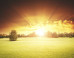 A New Day for Gamification, or Is It?