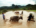 Daily Life: Photos Show The Enchanting Beauty Of Vietnam