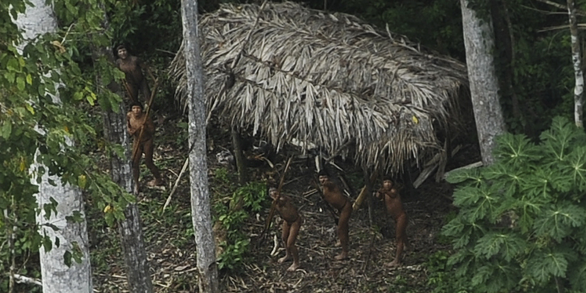 'Uncontacted' Amazon Ashaninka Tribesmen Brandish Spears At Plane