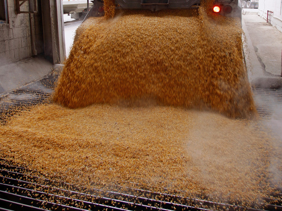 As High Fructose Corn Syrup Use Declines, Sugar Refining Increases As High Fructose Corn Syrup Use Declines, Sugar Refining Increases