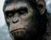 'Dawn Of The Planet Of The Apes' Conquers Box Office With $73 Million Debut