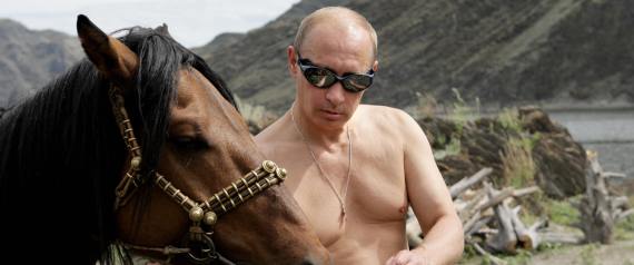 PUTIN HORSE