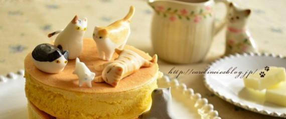 CAT CAKE
