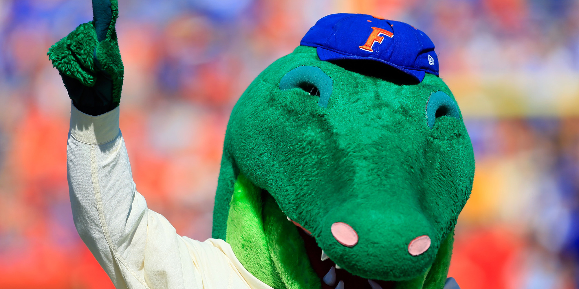 What Is The Mascot Of Florida A M University What Is The Mascot Of Florida A M University