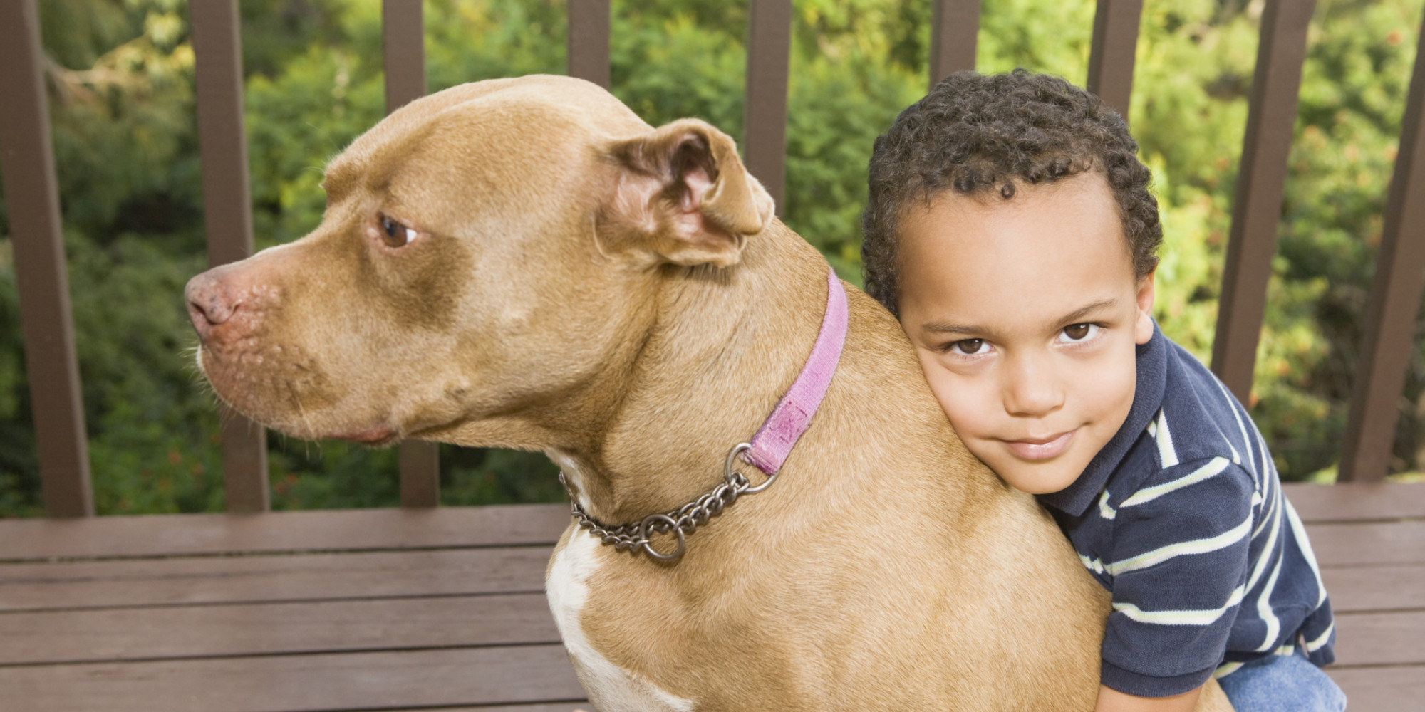 Maryland Does Right By Pit Bulls, Says They Aren't Inherently Dangerous