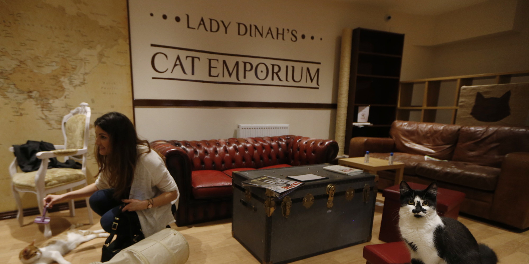 Lady Dinah