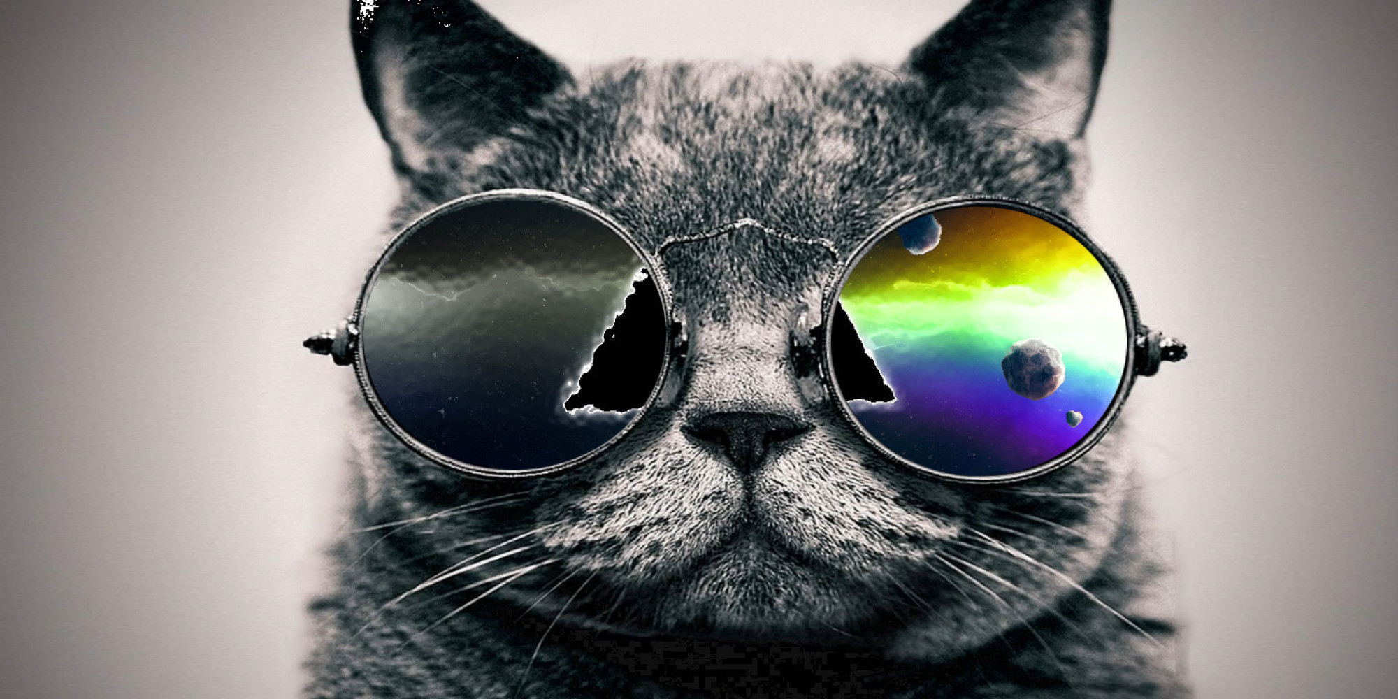 15 Cool Cats On Google+ | HuffPost