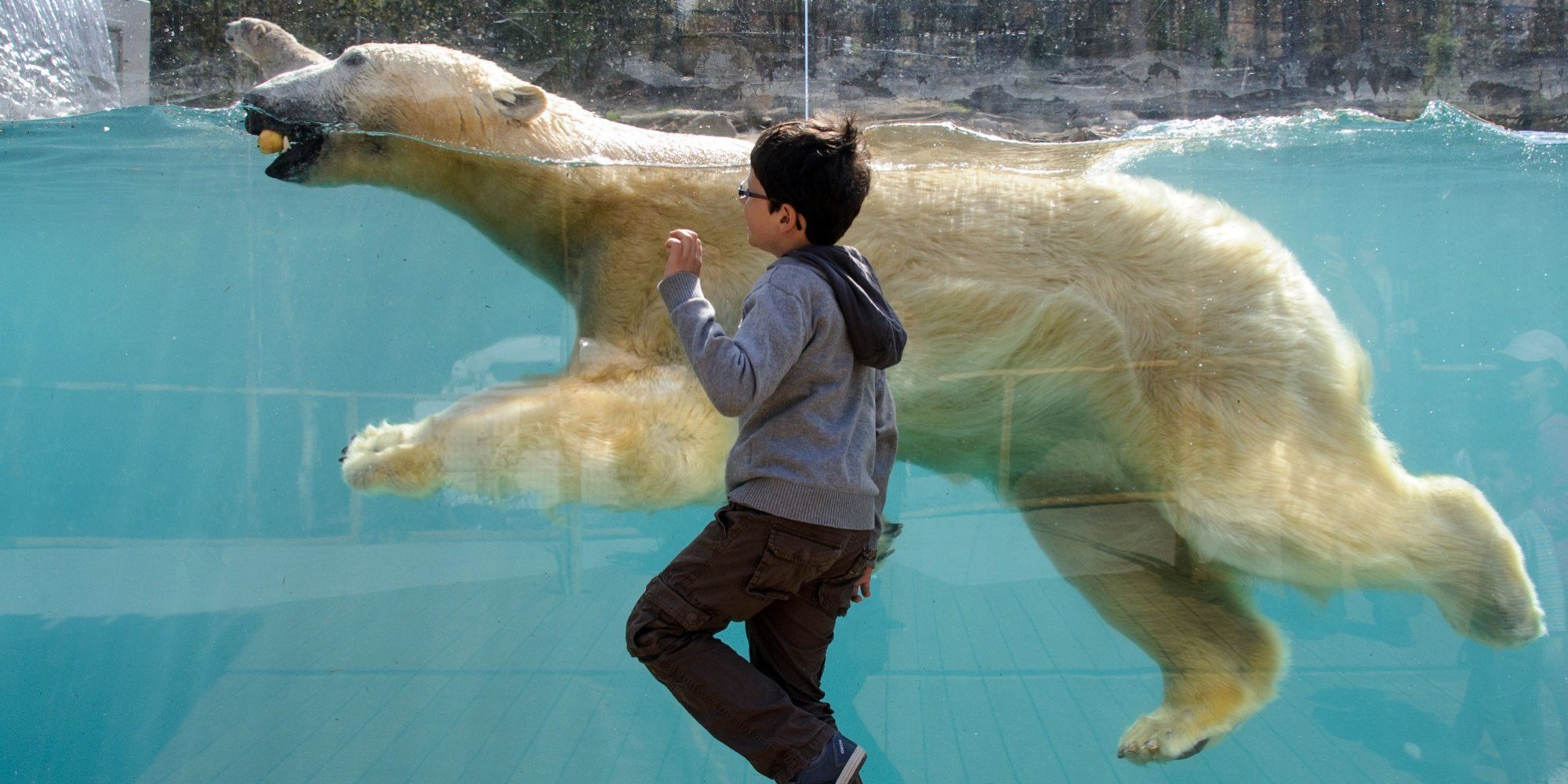 Zoos & Aquariums and Their Visitors Can Be Critical Advocates for