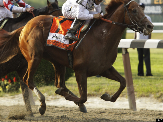Drosselmeyer Belmont Stakes