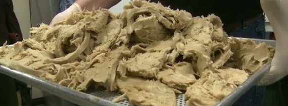Fake Meat Vegetarian Chicken Scientists