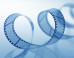 'Big Bad' Israeli Film