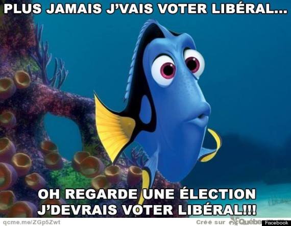 doris liberal