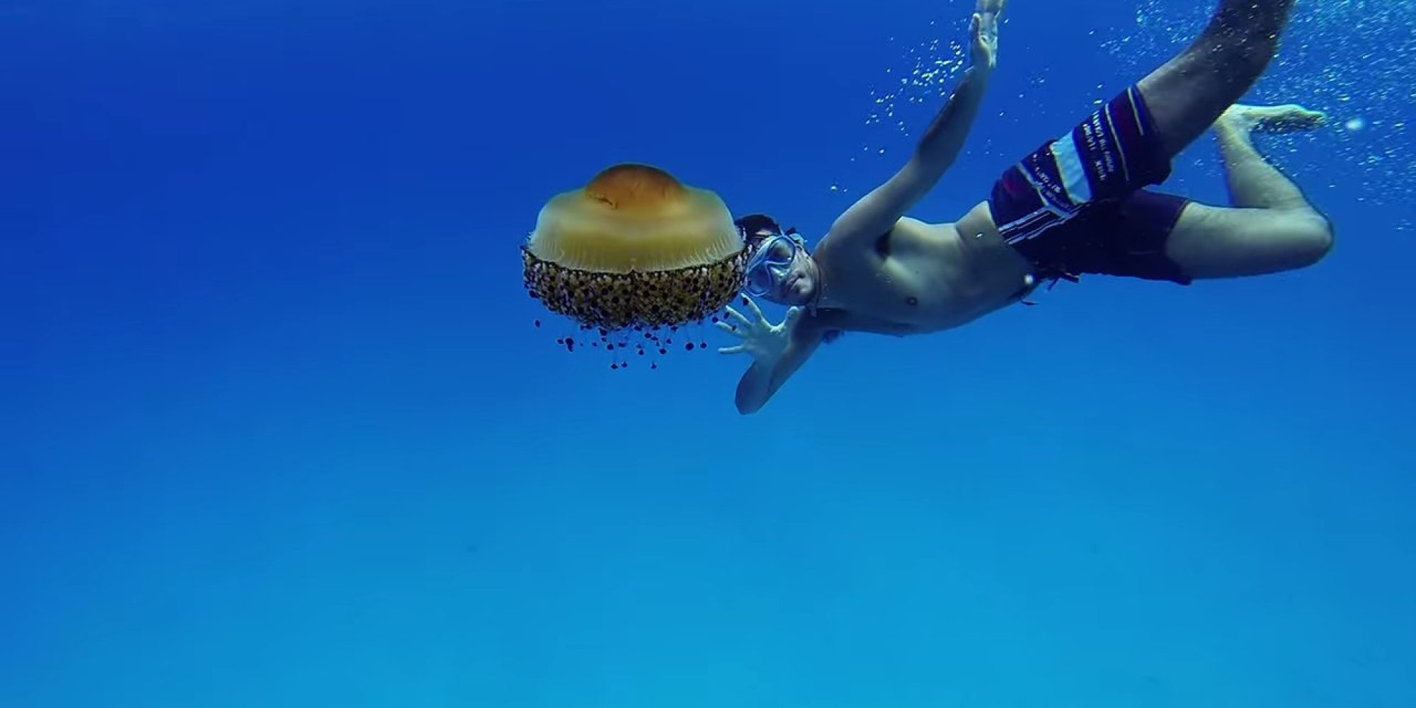 Massive Mediterranean Jellyfish Greets Snorkeler (VIDEO) HuffPost