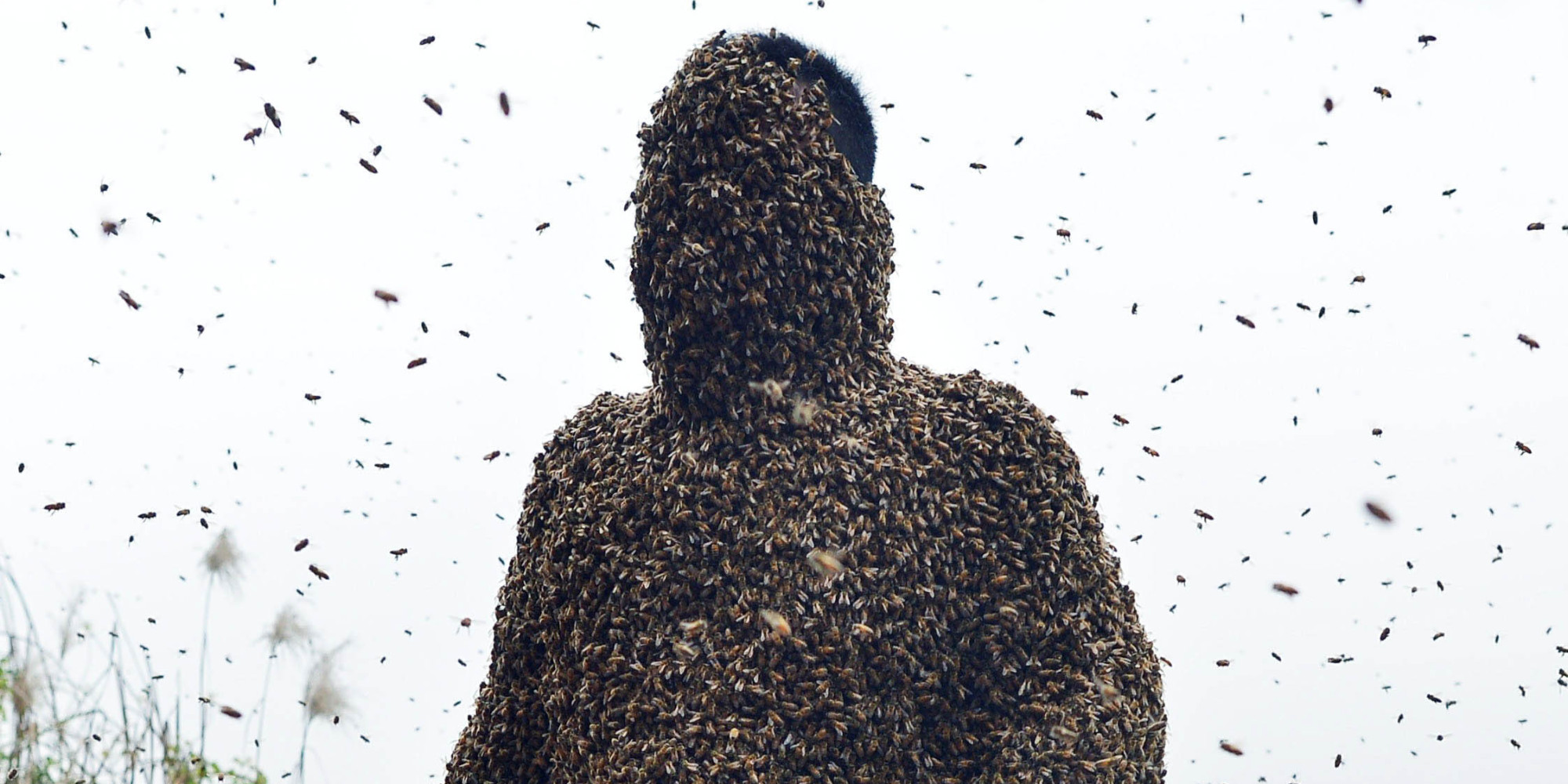 She Ping Chinese Beekeeper Covers Himself With 460000 Bees Photos