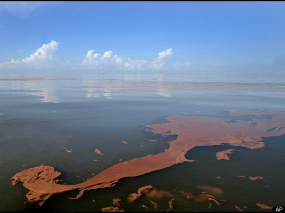 Gulf Oil Spill Burn