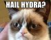 'Hail Hydra' Is The New Meme To Love (Or Hate)