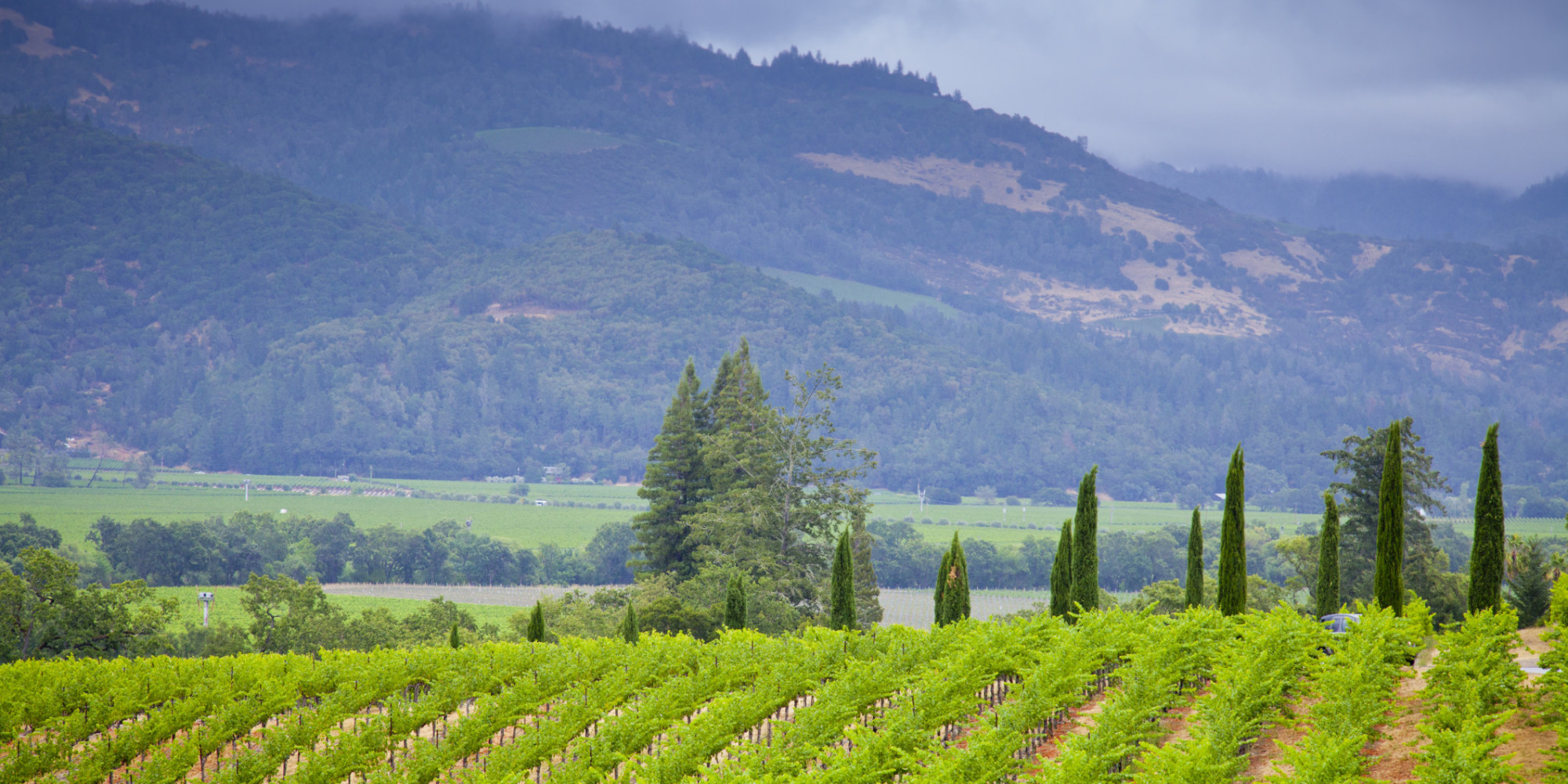 Napa Travel Guide What to Do and See HuffPost
