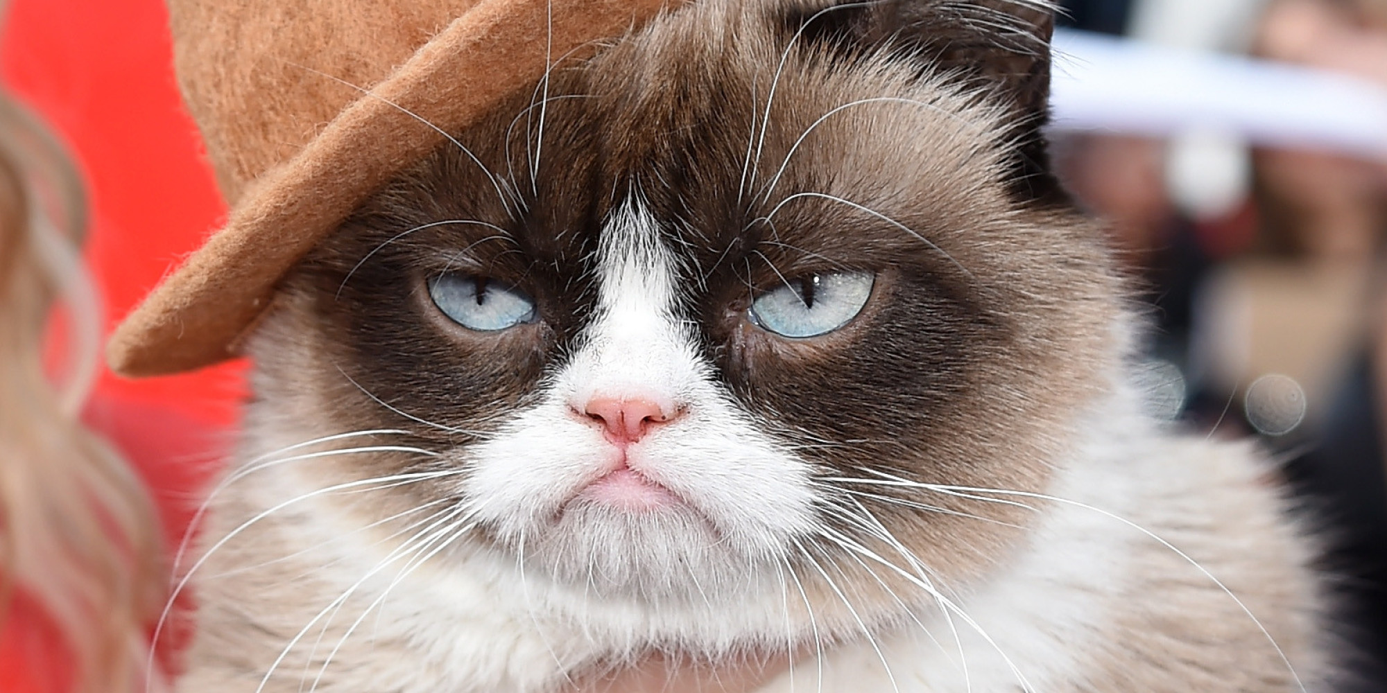 Grumpy Cat Gets Our Vote For Best-Dressed Feline At The 2014 MTV Movie