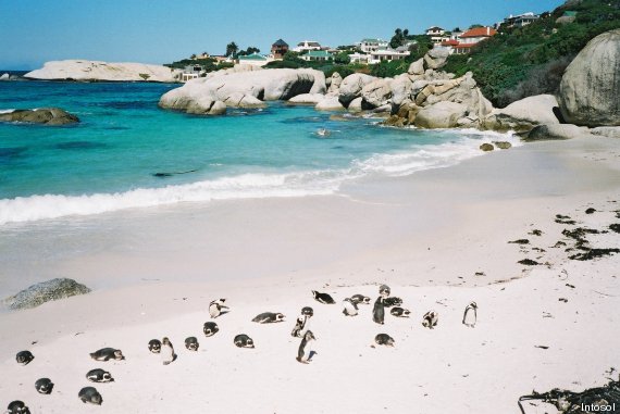 boulders beach