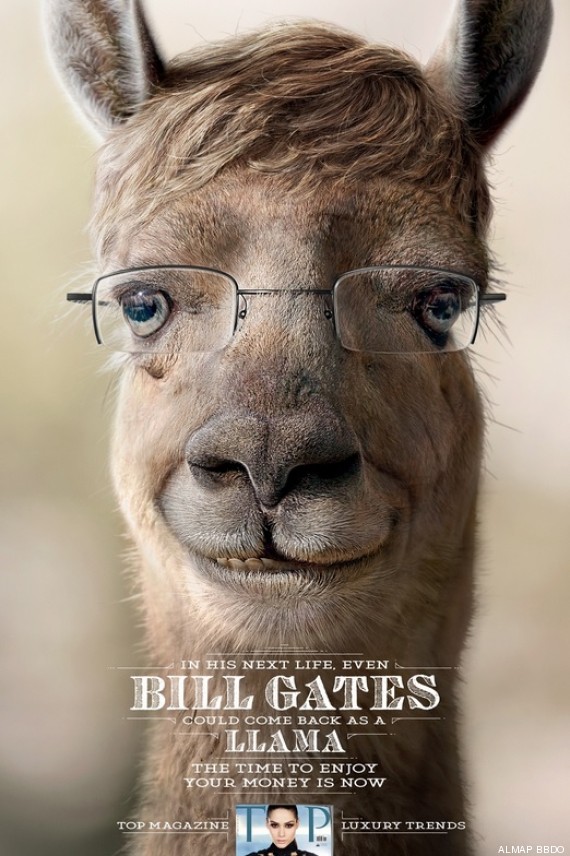 bill gates lama