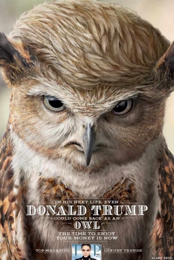 donald trump hibou