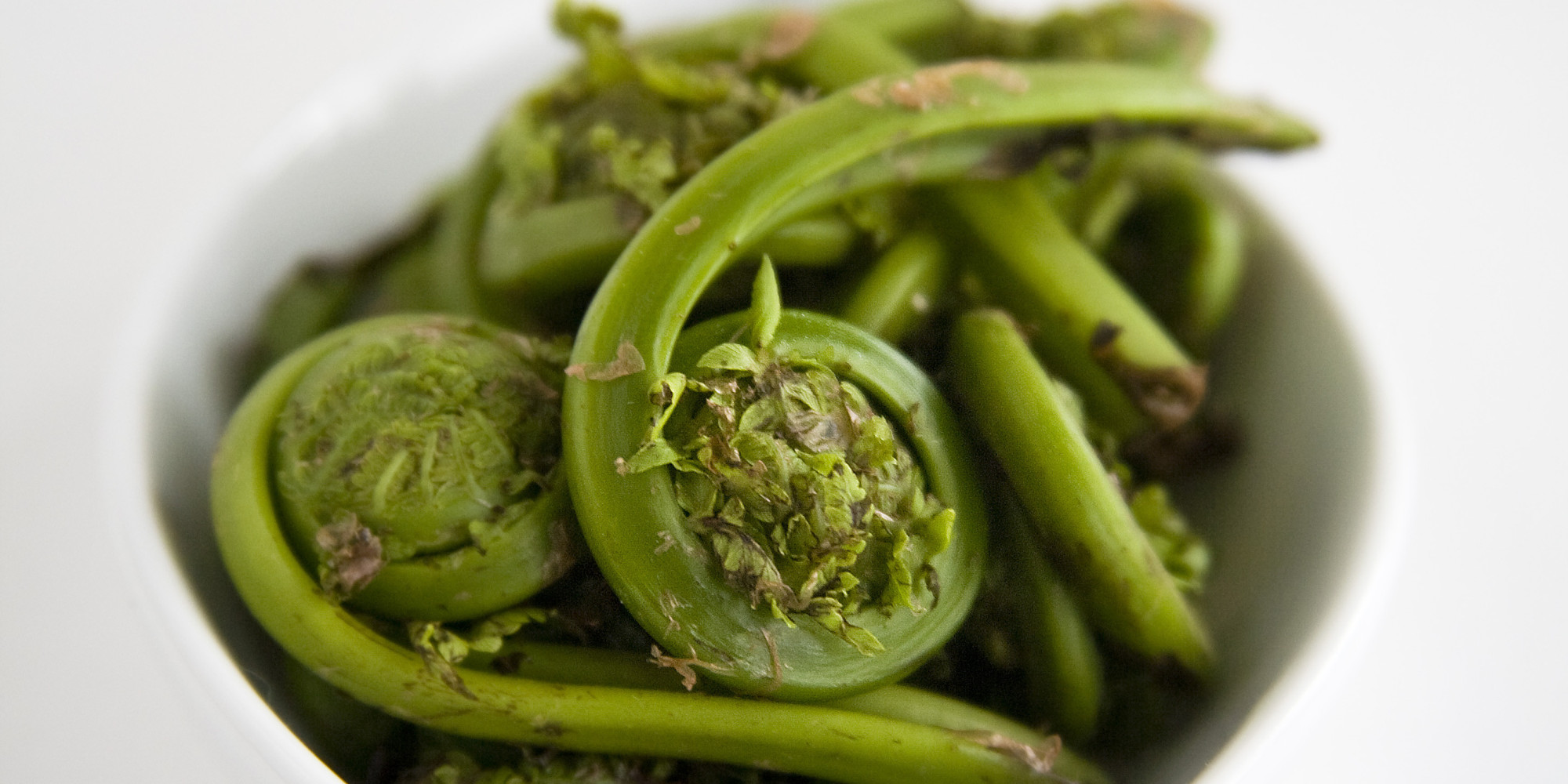 Fiddleheads Health Why You Should Eat This Veggie