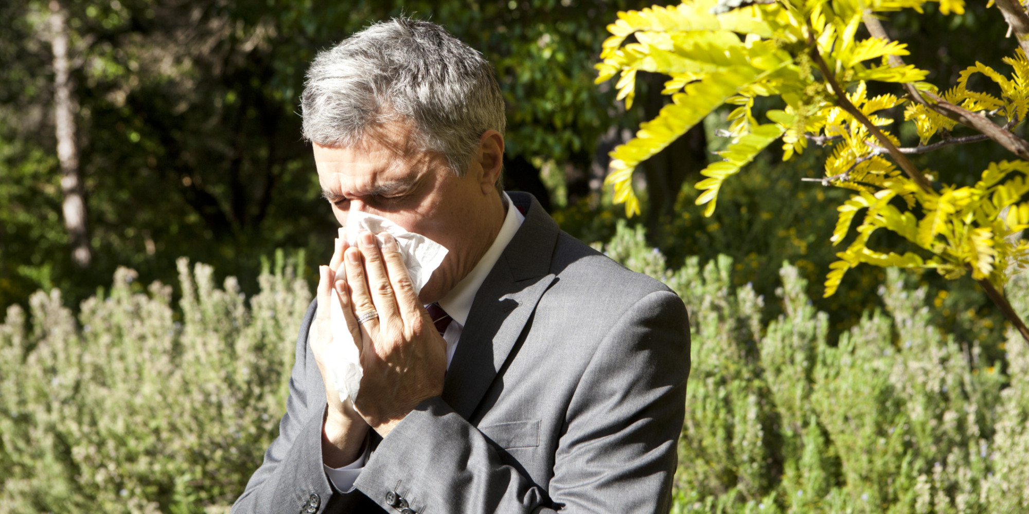 8 Effective Remedies For Spring Allergies