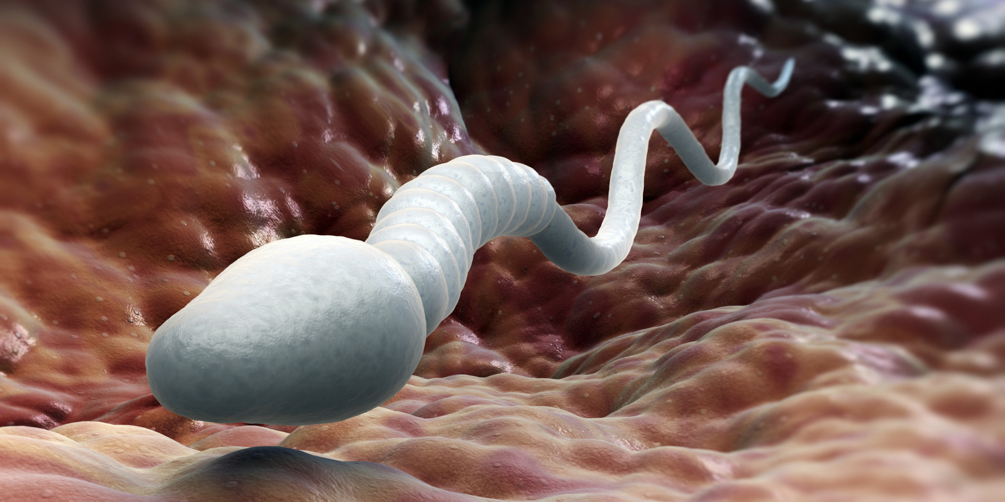 Sperm In Sex 109