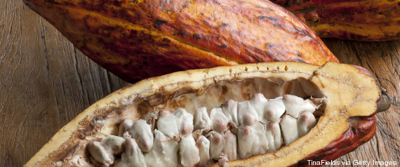 cacao