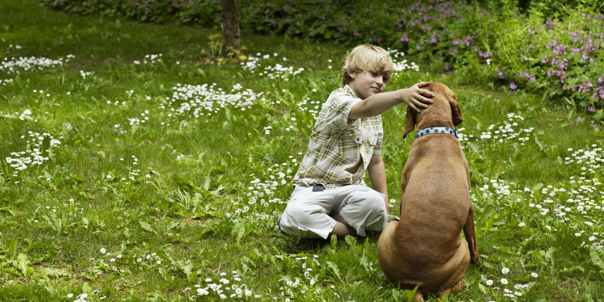 5 Petfriendly Gardening Tips HuffPost