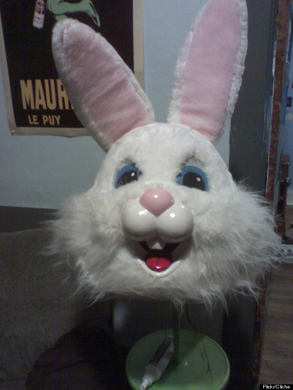 bunny