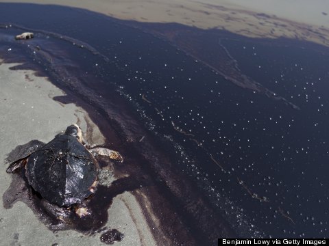 Four Years Later, BP Oil Spill Still Taking A Toll On Louisiana Fisherman