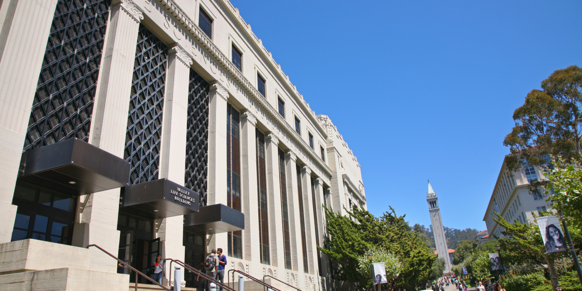 Berkeley Application Essay