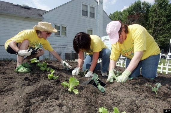 Volunteer Plant Trees