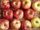 Most Apples In The U.S. Sprayed With Pesticide Banned In Europe