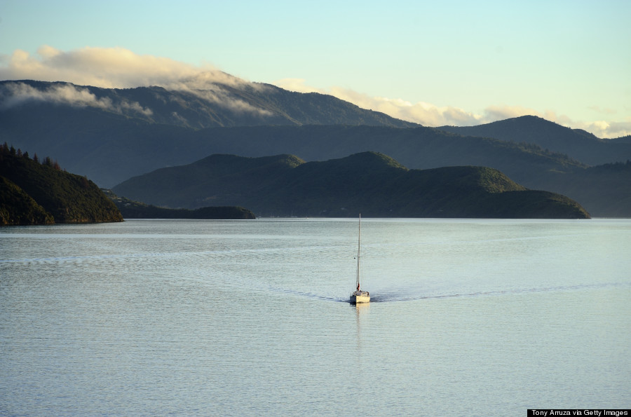 sail new zealand