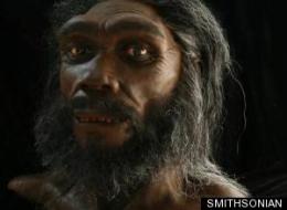 evolution, neanderthal