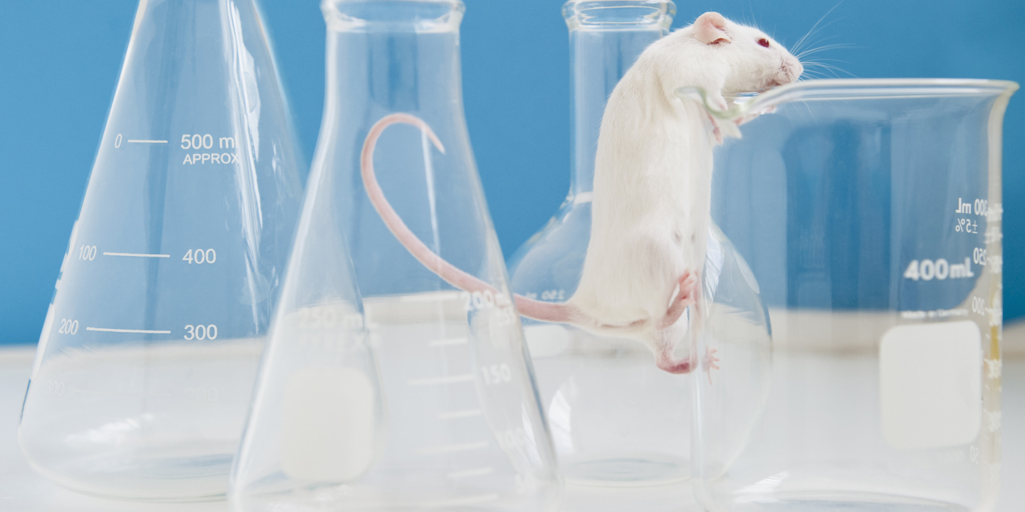 Lab Mice Are Afraid Of Men, Not Women, And That Might Have Ruined Years