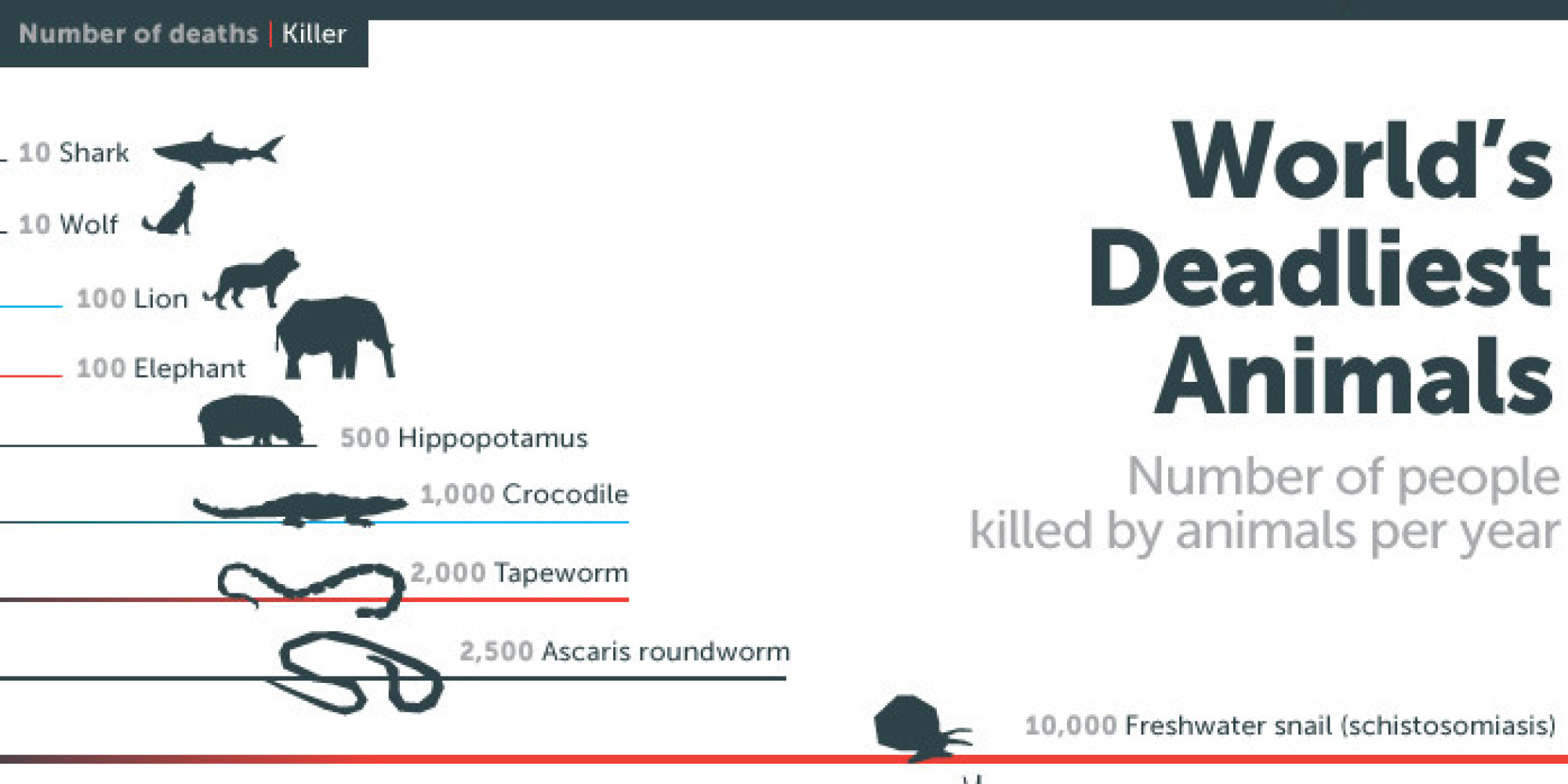 Mosquitoes Kill More Humans Than Any Other Animal Alive Mosquitoes Kill More Humans Than Any Other Animal Alive