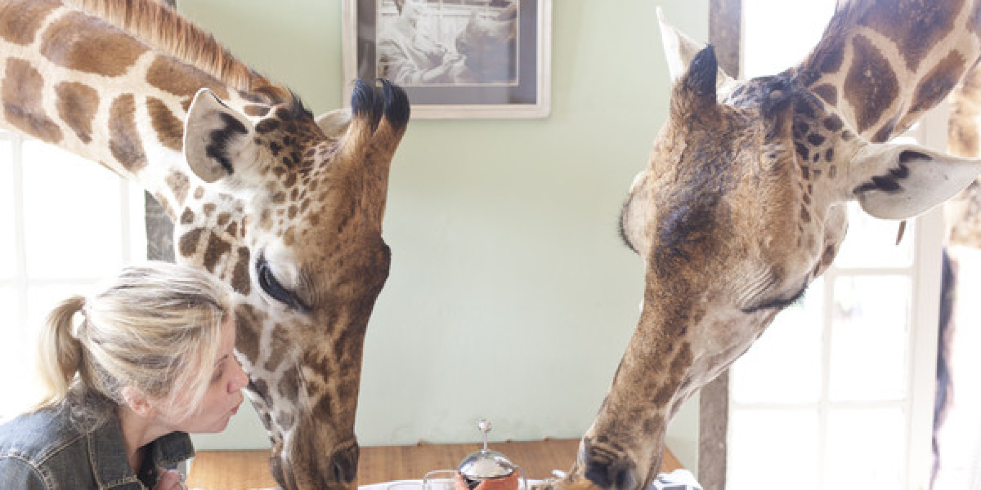 This Is The World's Only Giraffe Hotel | HuffPost