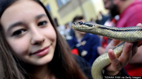 cocullo snakes