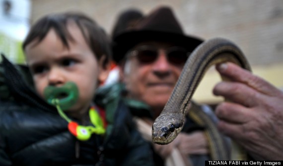 cocullo snakes